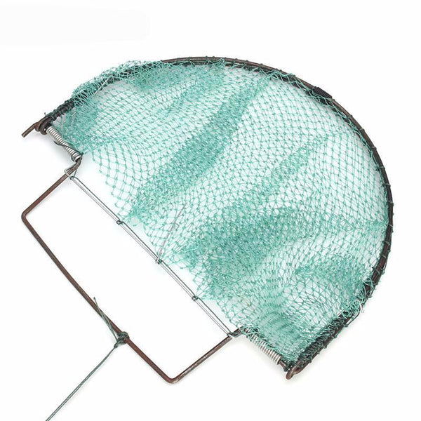 Sparrow Starling Bird Net