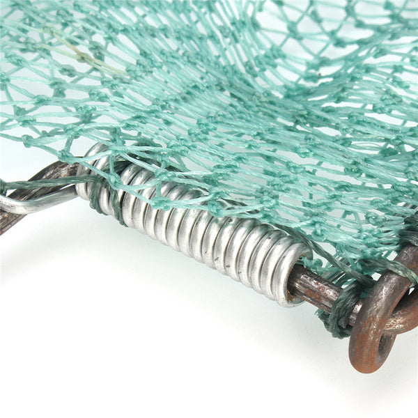 Sparrow Starling Bird Net