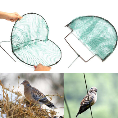Sparrow Starling Bird Net