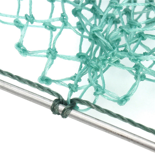 Sparrow Starling Bird Net